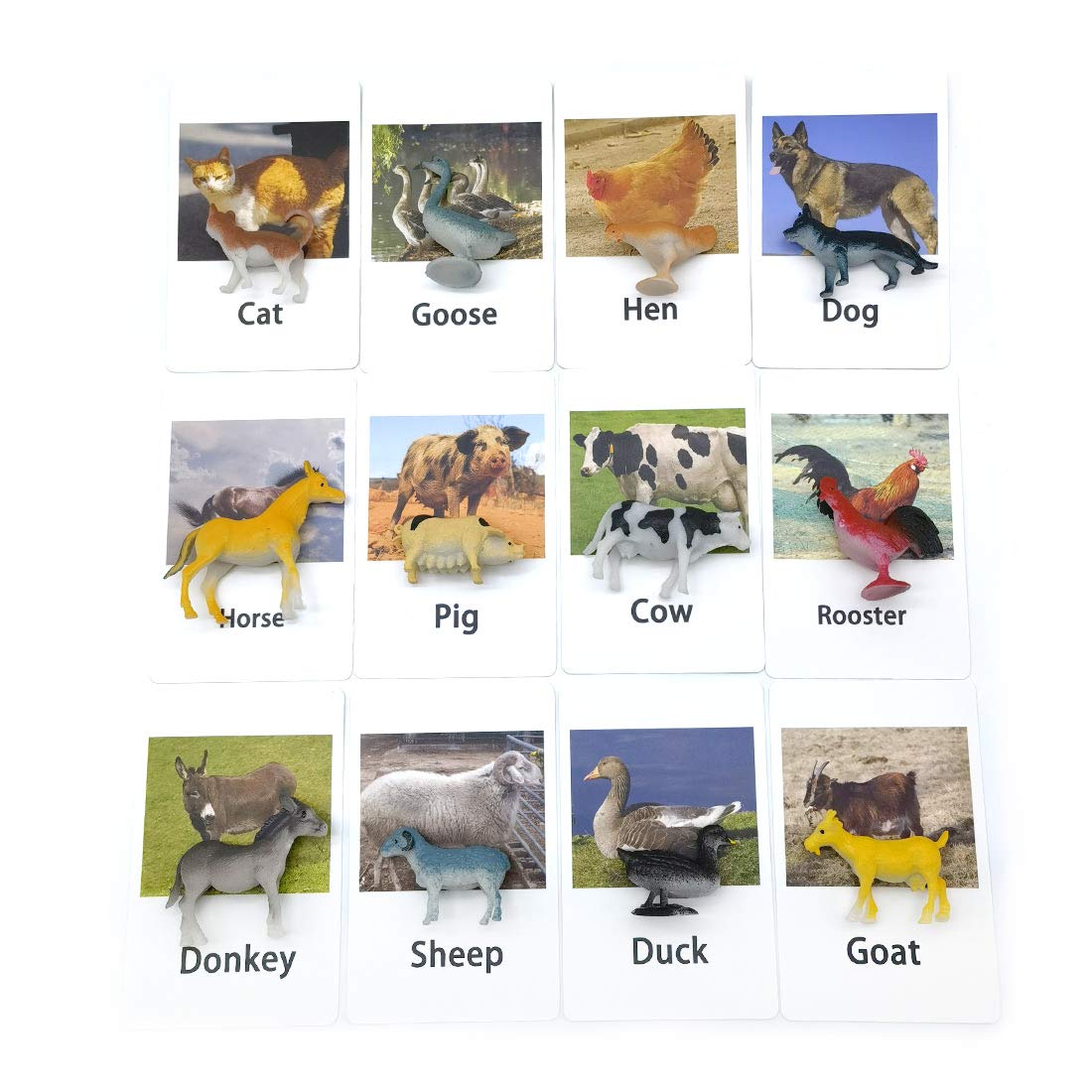MEROCO Montessori Animal Match Cards - Miniature Poultry Animals with Matching Card - 2 Part Cards. Montessori Learning Toy, Language Materials TZX106