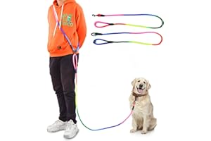 JOPOY Hands Free Dog Leash Waist & Crossbody Rope with Slip Lead Durable for 2 Dogs Nylon Reflective Heavy Duty Hiking Running Leash for Medium Large Dogs(Rainbow, 9.8Ft)