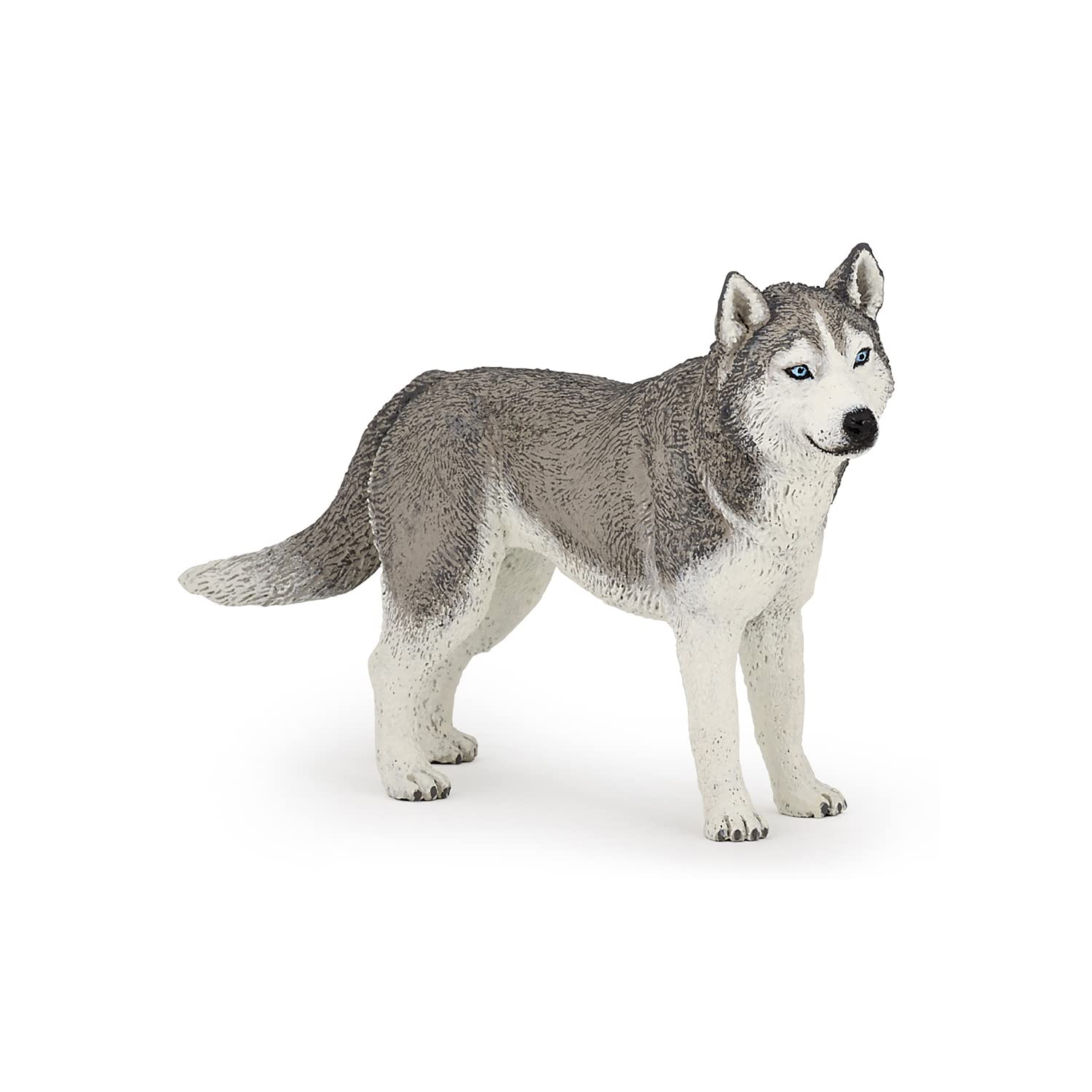 Papo - Realistic Siberian Husky Figure Toy for Kids - Ages 3+ - Dogs And Cats Collection - Educational Play Northern Animals - Gift Idea Toy for Girls and Boys - 11.2 Cm X 2.4 Cm X 6.4 Cm