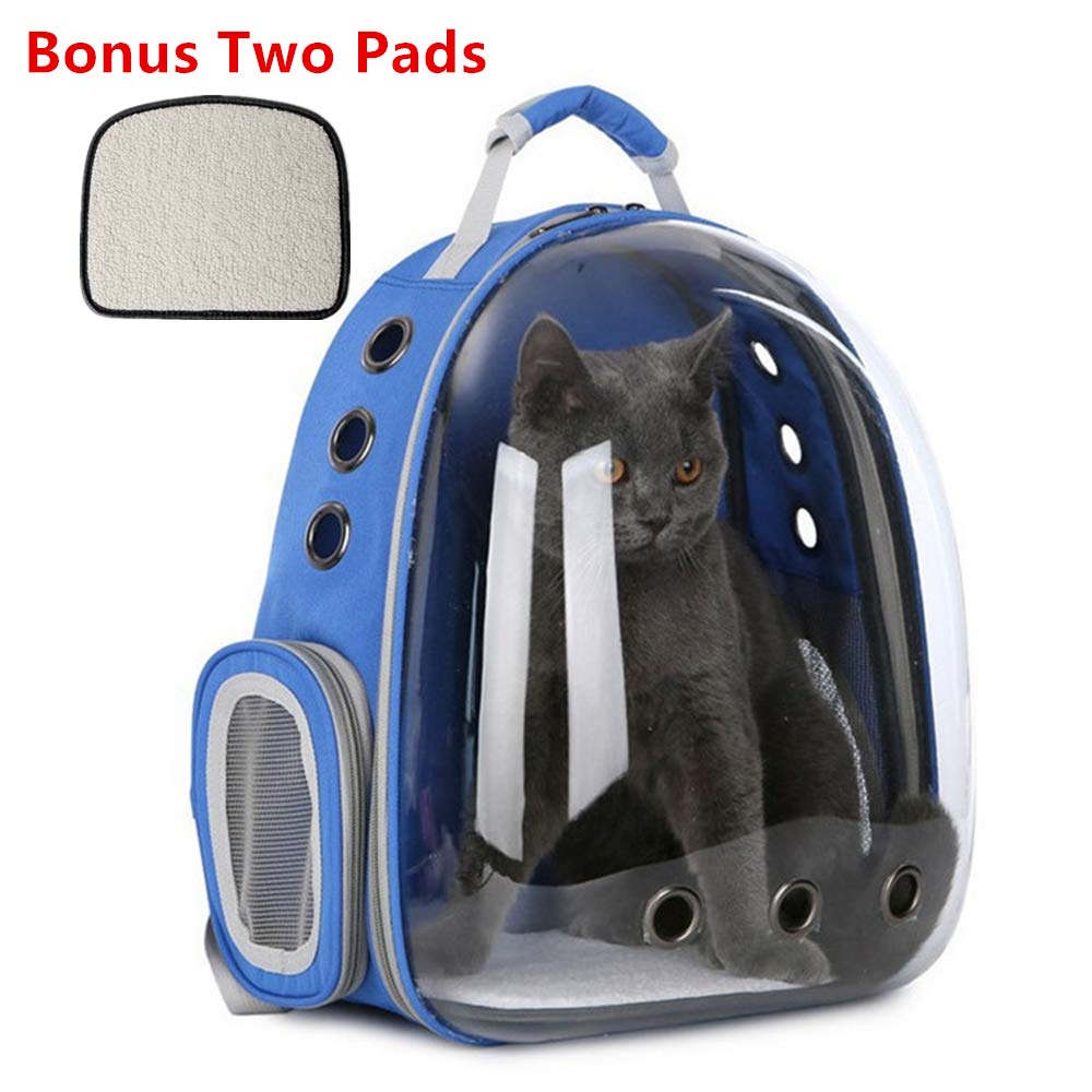 cat globe backpack