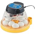 Brinsea Mini II Eco Manual Egg Incubator with External Water Top-Up, Fan Assisted Air Circulation for Hatching 10 Chicken, Duck, or Other Eggs, Ideal for Beginners