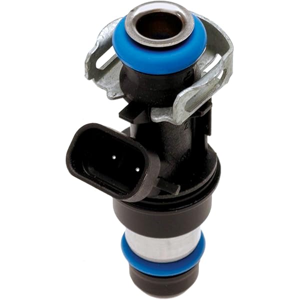 Amazon.com: ACDelco Professional 19304534 Multi-Port Fuel Injector 