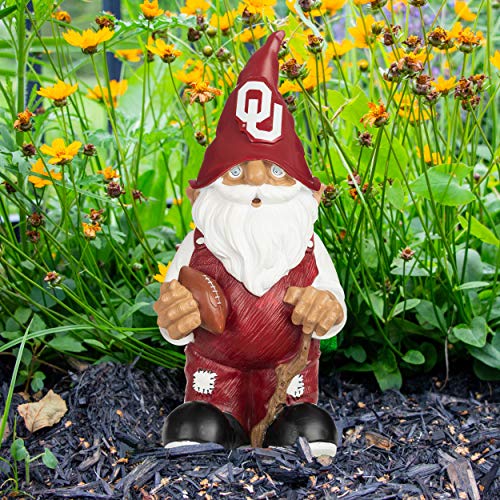 FOCO Oklahoma 2008 Team Gnome