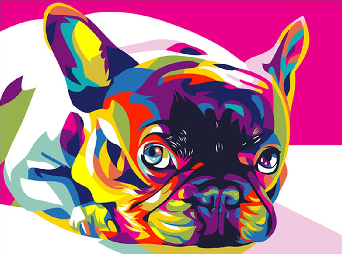HANJINYU Paint by Numbers for Adult & Kids, DIY Canvas Oil Painting Kit for Adult Kids Beginner, Paint By Number Kits - 16x20 inch Colorful French Bulldog (Without Frame) (Colorful)