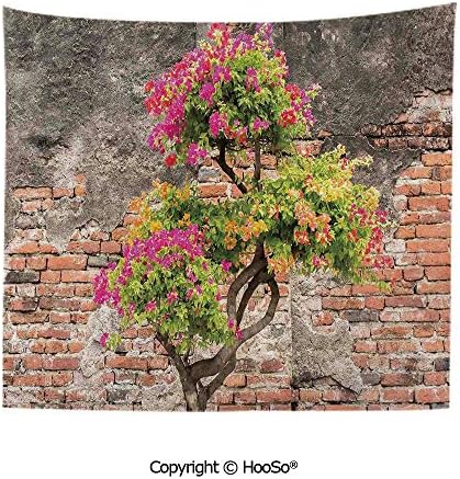 HooSo Durable Washable and Reusable Tapestry Wall Hanging Carpet 59x40in,Fresh Little Tree with Fuchsia Flowers in Front of Cracked Wall Hope Theme,Multi Comfy and No Strange Odor Home Decor