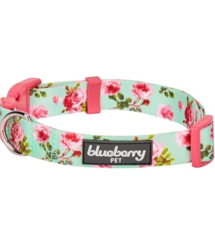 Amazon.com: Blueberry Pet 4 種圖案Bon Voyage Sea Lover 可調式狗