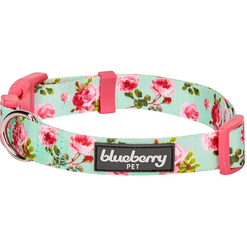 Photo 1 of Blueberry Pet Floral Rose Dog Collar, Adjustable Small Dog Collar, Puppy Collar, Flower Dog Collar for Small Dogs, Turquoise, X-Small, Neck 8"-11", Eco-Friendly, Fashion Pet Accessory