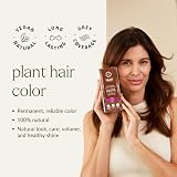 khadi MEDIUM BROWN Natural Hair Colour 100g Plant-Based Warm Cinnamon Deep Brown view 3