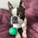 SPORTSPET Mini Bounce Dog Balls 4 Pack 45mm Premium Rubber Toys view 3