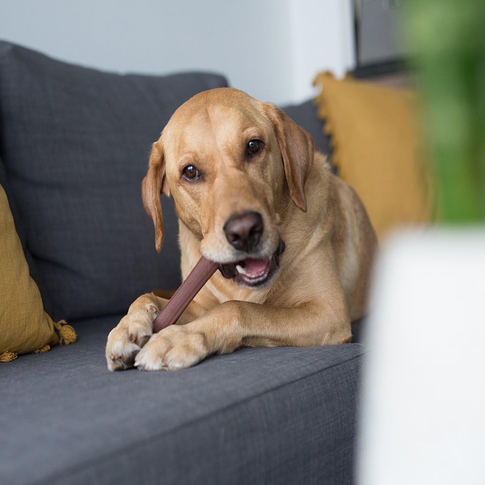 petstages bully chew