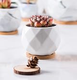 Jucoan 6 Pack Ceramic Succulent Planter Pots 10 cm White Diamond with Tray view 6