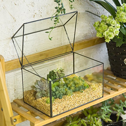 NCYP Large House Shape Close Glass Geometric Terrariumn Tabletop Succulent Plant Box Planter Moss Fern Swing Lid Reptile 8.6 inches x 7.25 inches x 6 inches - Thumbnail 2