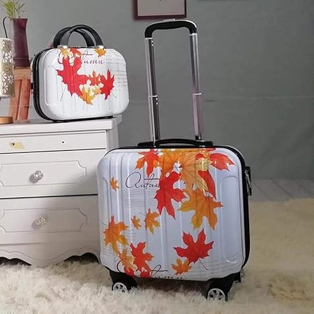 popular carry on luggage