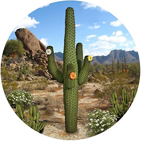 Screen Door Magnets – Twist, Click and Lock - Keep People and Pets Safe – Magnetic Screen Door Magnet Saver – Screen Door Magnet Decoration - Robbins Aria (Cactus)