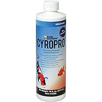 プラジプロ16オンス