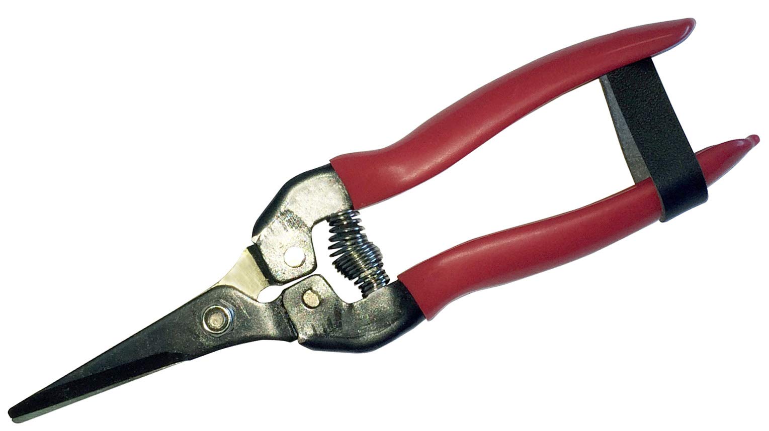 Riegolux 302172 Tomato Scissors