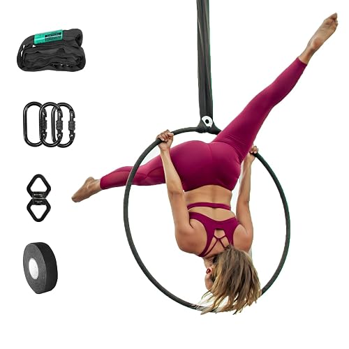 runner deer Complete Lyra/aerial hoop/aerial rings Set,include lyra ...