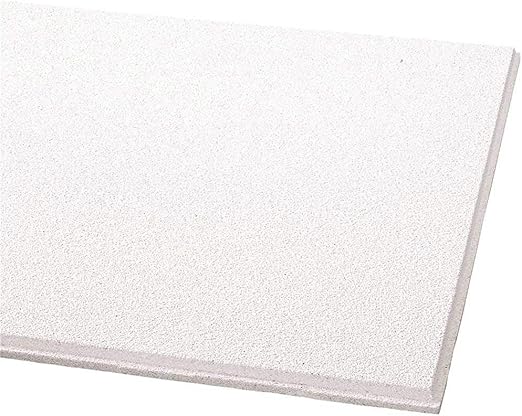 Amazon Com Ceiling Tile 24 X 24 In 5 8 In T Pk16 Home Improvement