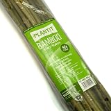 PLANT !T 5ft Bamboo Stakes Beige Pack of 25 for Plant Support view 2