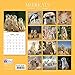 Meerkats 2019 Calendar