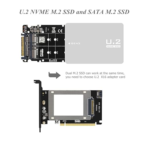 Connector Nvme Vs Sas Ssd Inch Slimline SAS SATA To NVMe SSD Caddy