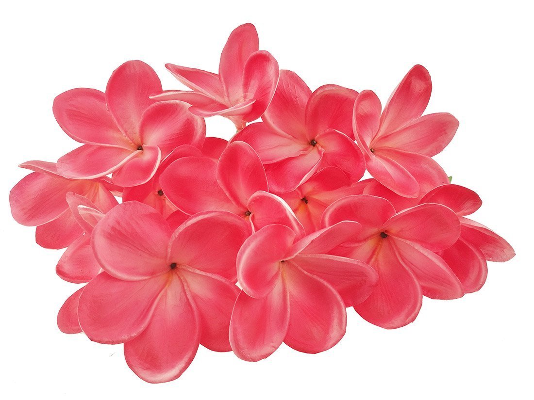 Winterworm 10 Stems Real Touch Artificial Hawaiian Lei Faux Ivory Plumeria Latex Flower Bouquet for Bride Wedding Party Festival Decoration Bouquet (Red)