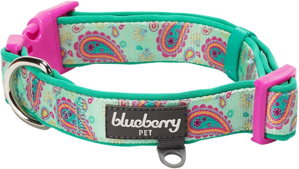 Best Blueberry Collar 3M