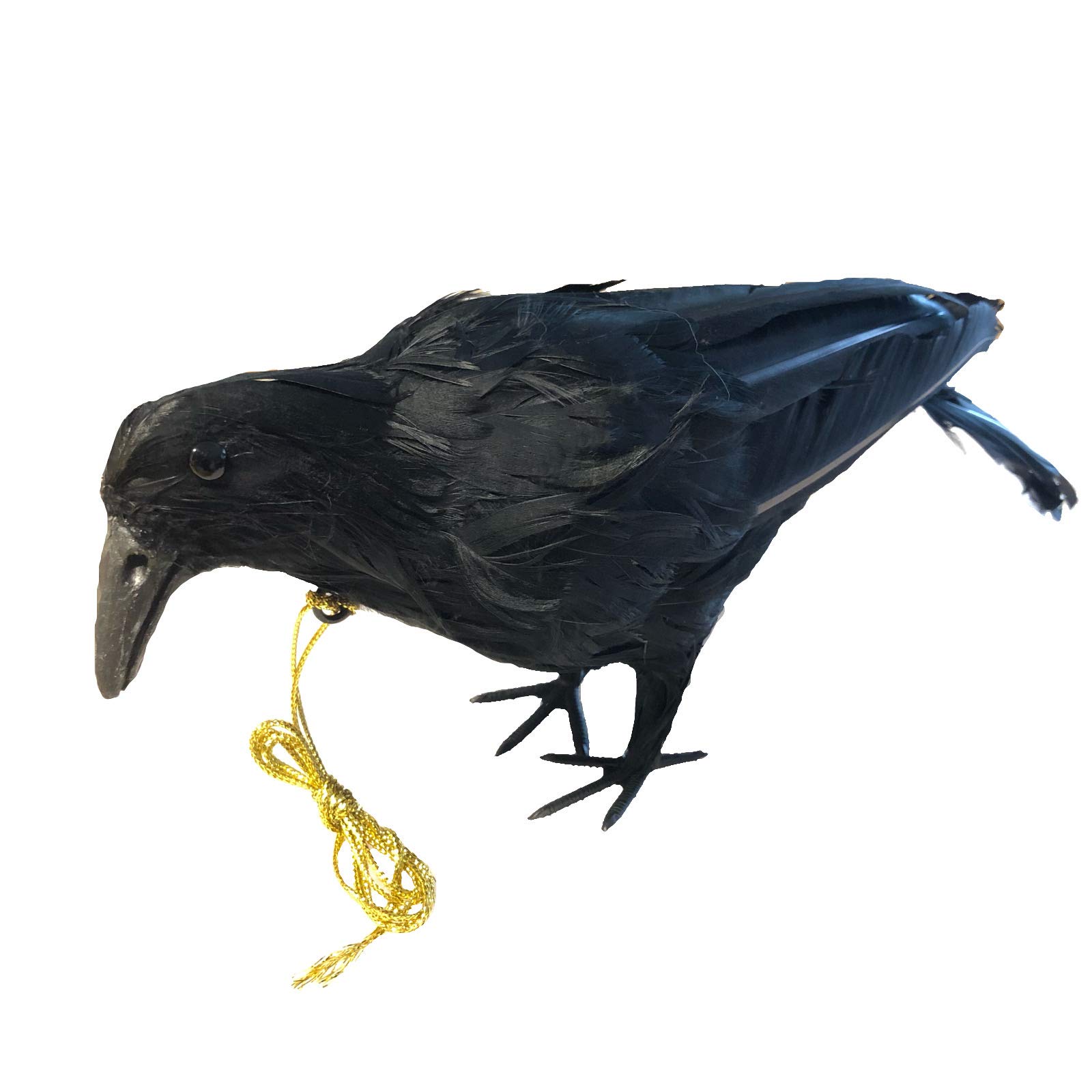 ONESORA カラスよけ 鳥よけグッズ 本物そっくり リアル羽毛カラス 【小振りサイズ1羽】 ぶら下げて吊るすだけ カラス撃退 の商品画像