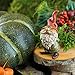 Top Collection Miniature Fairy Garden and Terrarium Garden Gnome Statue