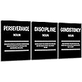 Perseverance Discipline Consistency Motivational Canvas Office 3 Panel Print Wall Art Inspirational Poster Painting Modern Inspiring Artwork for Home Living Room Decor Ready to Hang [36''Wx 16''H]