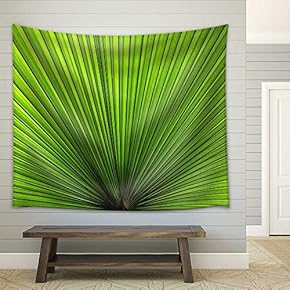Texture of Green Palm Leaf - Fabric Wall Tapestry Home Decor - 51x60 inches