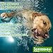 LORDDDON Flea and Tick Prevention Collar One Size Fits All Dogs and Cats Flea and Tick Control with Adjustable Design