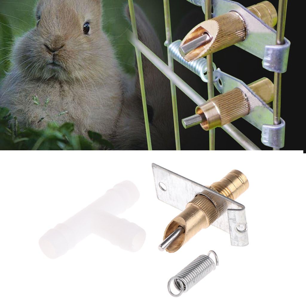 Caza conejos con huron Los mejores artículos para tu hurón. Caza conejos con huron Los mejores artículos para tu hurón.