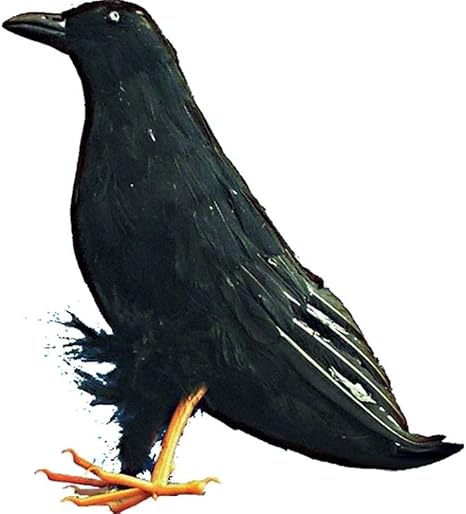 Amazon ハロウィン 装飾 デコレーション 飾り 置物 グッズ ホラー 恐怖 カラスの人形 並行輸入品 置物 オブジェ オンライン通販