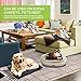 Pecute Pet Heating Pad, Dog Heating Pad with Chew Resistant Cord, Waterproof Layer, Warming Cat Heating Pad, Indoor Pet Heating Pads for Dogs Cats, Auto Temp Control with Washable Cover, 19.7