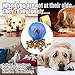 CHLEBEM Interactive Dog Toys, Dog Chew Toys Ball for small Medium dogs, IQ Treat Boredom Food Dispensing, Puzzle Puppy Pals Tough Durable Nontoxic Rubber Pet ball, best Cleans Teeth dog balls (Blue)