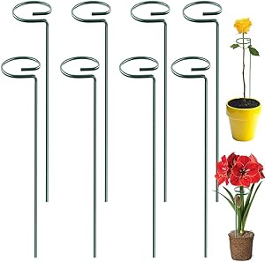 Guuozzli 8 Pack Plant Support Stakes,16 Inch Single Metal Stem Support,Garden Stakes for Tomato,Flowers,Rose,Orchid,Lily,Peony