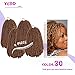 YEBO Spring Twist Hair 8 Inches 4 Packs Spring Twists Crochet Braiding Hair Ombre Colors Synthetic Hair Extensions 30 Strands/Pack, 110g/Pack(#30,8Inch)