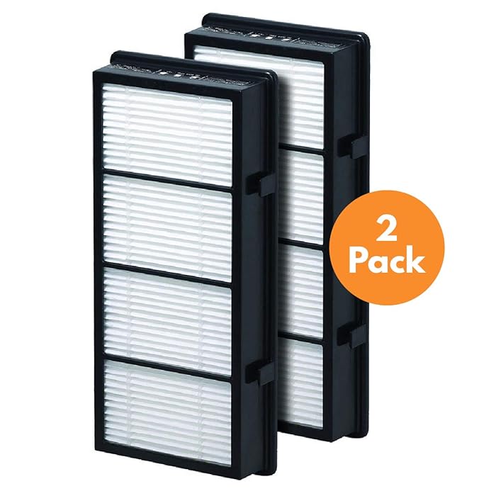 True HEPA Replacement Filter Compatible with Holmes AER1 HAPF300/HAPF30 (D Filter), 2 Pack