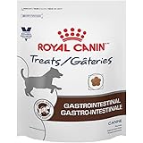 royal canin gastro intestinal amazon