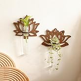 Artilady 2 Pack Plant Propagation Station Lotus Flower Wall Hanging Wood Plant Terrarium for Hydroponics Home Office Decor Test Tube Propagate Air Cutting Holder