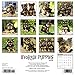 Just Yorkie Puppies 2018 Calendar