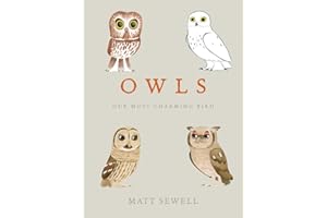 Owls: Our Most Charming Bird