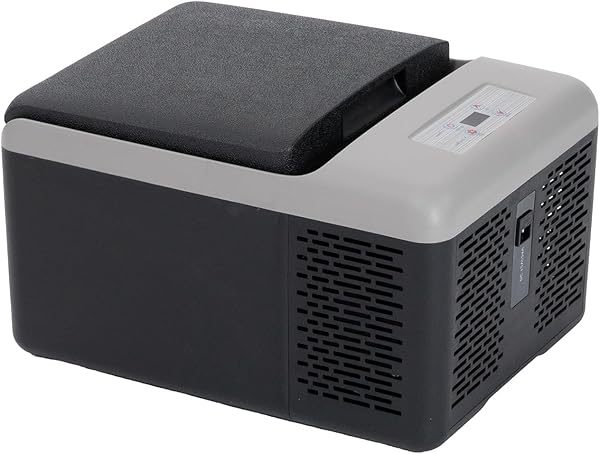 Alpicool C9PT 9L Kühlbox 12v Mini Kühlschrank Elektrische Kompressor Auto kühlschrank Camping Gefrierbox Klein Tragbare für Auto (schwarz)