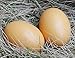 Miraclekoo Easter Eggs Wooden Faux Fake Eggs,6 Piece