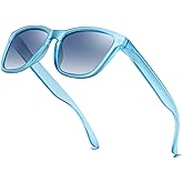 Dollger Polarized Sunglasses for Men Women Retro Classic UV400 Protection Sunglasses