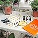 Bonsai Tools Kit Set-10 Pcs Mini Bonsai Tree Growing Kits for Bonsai Pruning,Bonsai Trimming Tools for Gardening Enthusiast Beginners