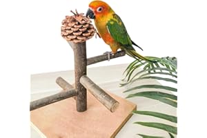 WQY GROCERYSHOP Bird Perch Stand, Portable Tabletop Bird Play Stand Parrot Training Perch for Parakeets Conures Lovebirds or Cockatiels