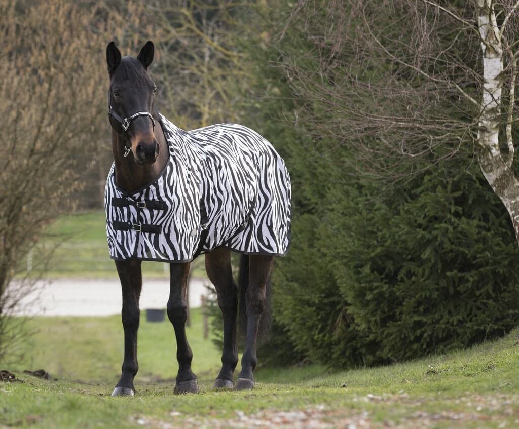 Norton Unisex Adult 400107059 Zebre Mesh Sheet - Zebra Design, 5 ft/9-Inch/175 cm