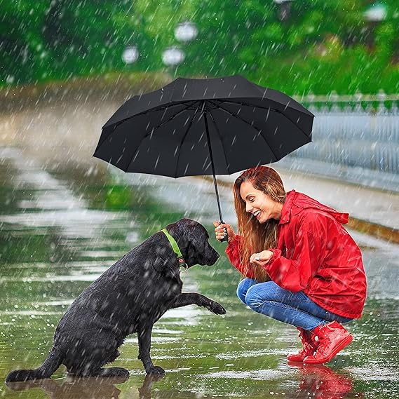 Travel Compact Umbrella, Folding Travel Umbrella for Rain and Shine Small, Windproof Automatic Open/Close, Portable Umbrellas